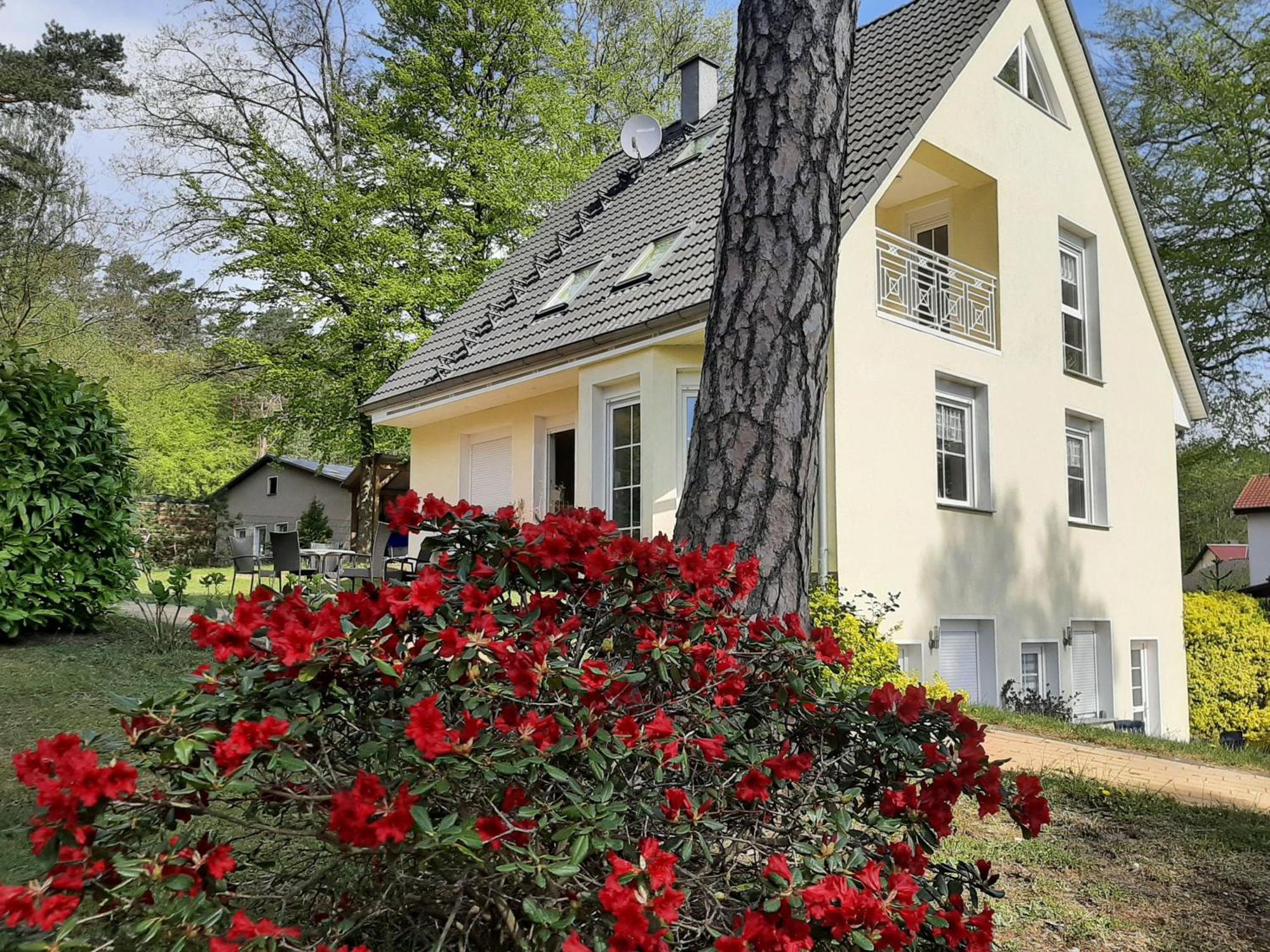 Bansin, Ferienwohnung Bansin Heringsdorf (Usedom) Exterior foto